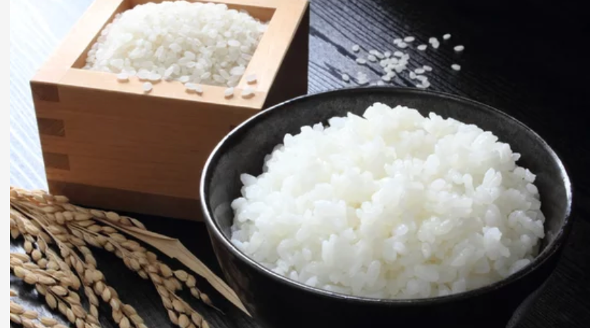 ウトウト・。⚪︎◯商品　福岡県産「元気つくし」令和6年産　玄米20kg ちっちゃい物クラブ様専用商品 福岡県産「元気つくし」令和6年産